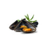 Caviale Whole Shell Mussels 400gm - Image 2