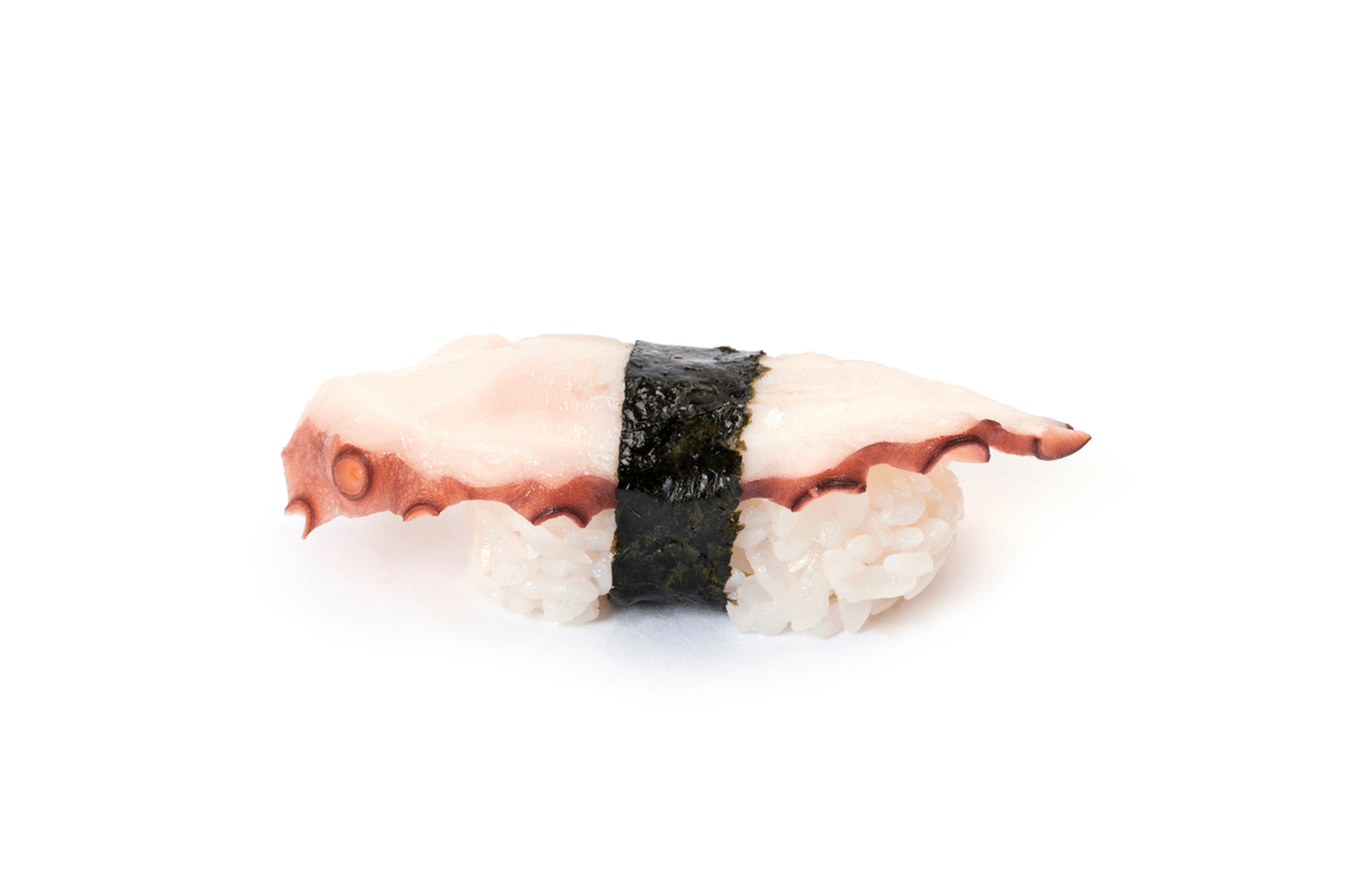 octopus nigiri Nigiri Octopus