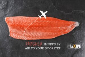 fresh salmon