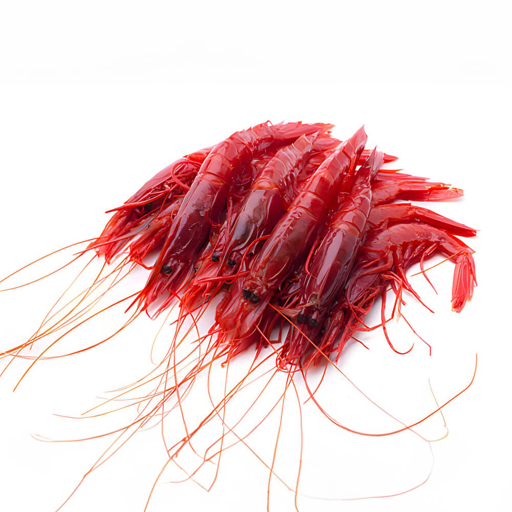 Rosso shrimp