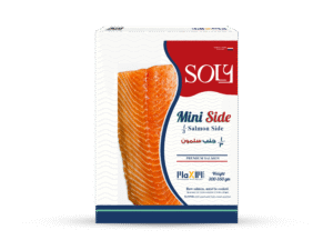 salmon fillet